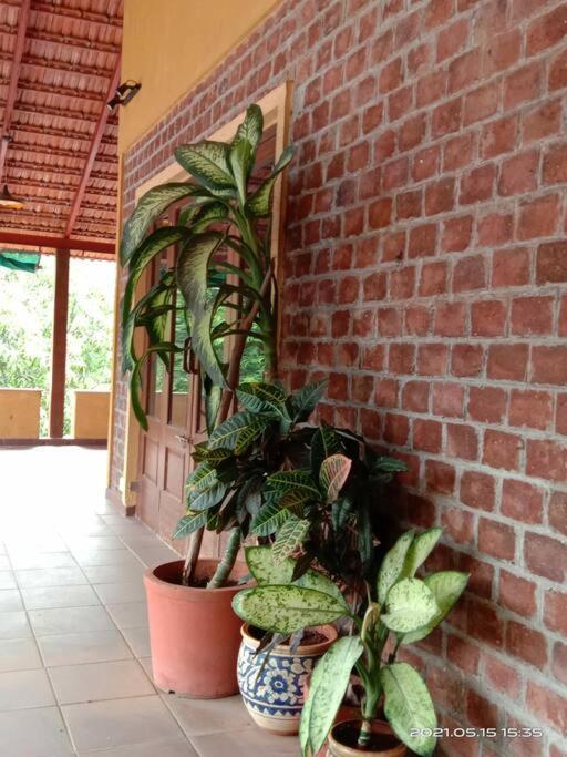 Sohana Eco Retreat Farmhouse - Karjat Chinchavli Zewnętrze zdjęcie