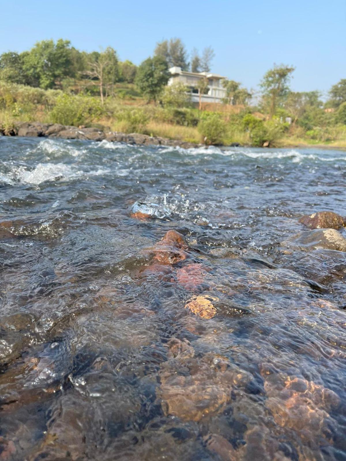 Sohana Eco Retreat Farmhouse - Karjat Chinchavli Pokój zdjęcie